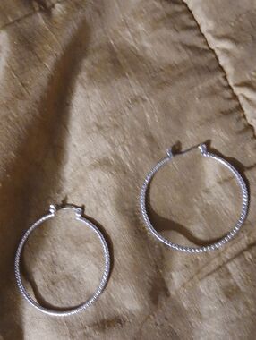 Silver Twisted Hoop Earrings - Women Jewelry